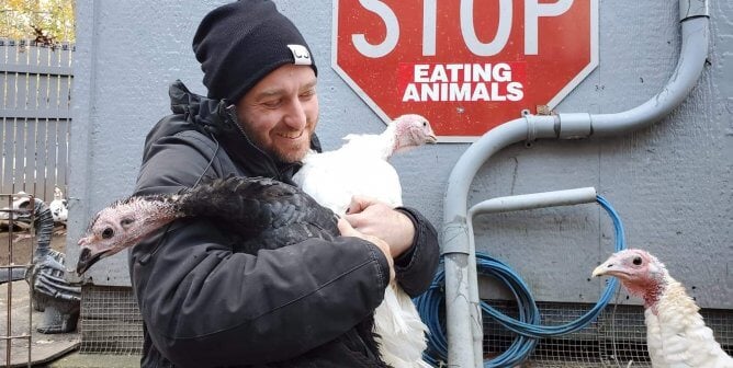 Here’s How PETA Helped Animals This ‘ThanksVegan’—and How You Can, Too