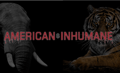 Animals WERE Harmed: How American Humane Has Failed Animals