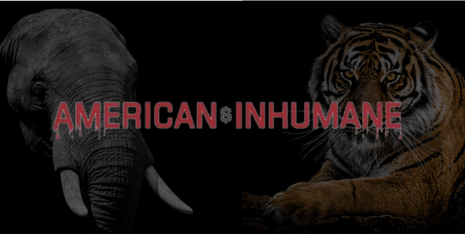 Animals WERE Harmed: How American Humane Has Failed Animals