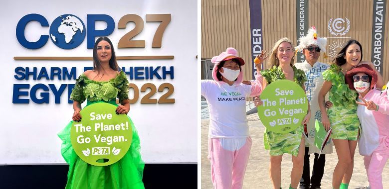 COP27’s Meaty Menu Prompts Vegan Push From ‘Lettuce Ladies’