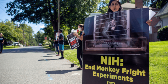 PETA Alleges Viewpoint Discrimination at NIH After VP Banned From Public Forum