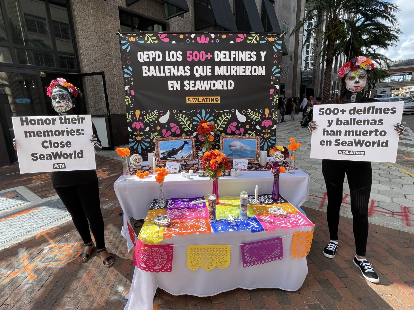 seaworld ofrenda in the street