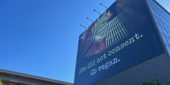 She Did Not Consent: PETA Highlights Sexual Abuse on Farms