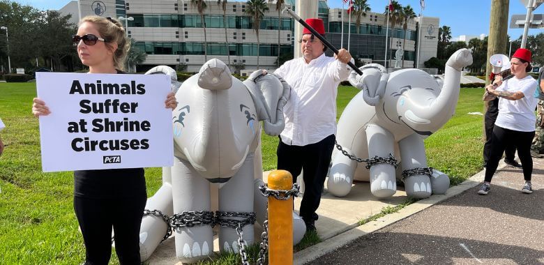 ‘Crying Elephants’ Descend on the Shriners International HQ
