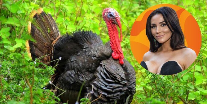 Turkey, Courtney Stodden in orange circle