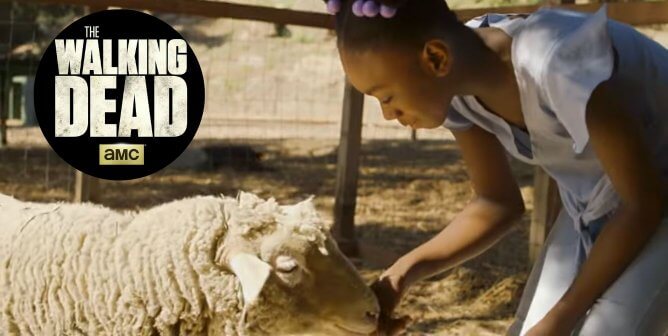 Girl petting sheep, walking dead logo in circle