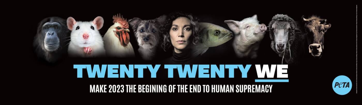 2023 end speciesism BB scaled with "TWENTY TWENTY-WE" and "MAKE 2023 THE BEGINNING OF THE END OF HUMAN SUPREMACY" text and images of chimpanzee, rat, rooster, dog, woman, fish, pig, sheep, and cow