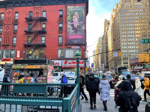 Alicia silverstone, cactus leather billboard