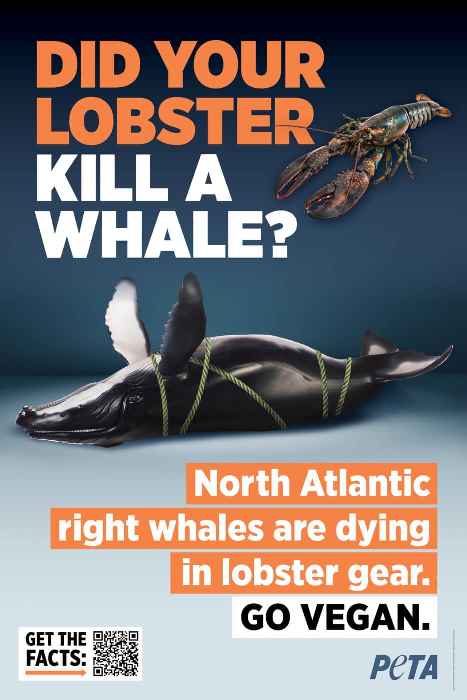 Will Maine Airport Run PETA's Pro-Whale Appeal After Whole Foods' Lobster  Ban?