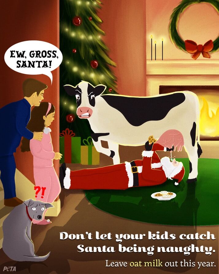 santa drinking milk from cow udder