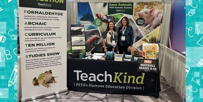 education conference exhibit booth with TeachKind staff, animal-free dissection poster, and free teacher resources