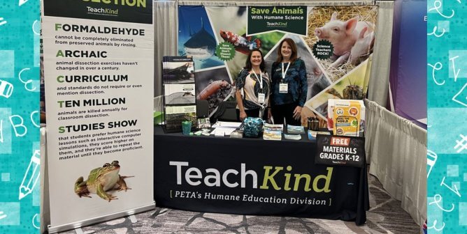 Education Conference Wrap-Up: PETA’s TeachKind Shines This Fall With Empathy Lessons