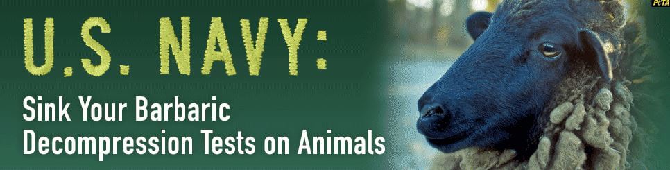 U.S. Navy: Sink Your Barbaric Decompression Tests on Animals