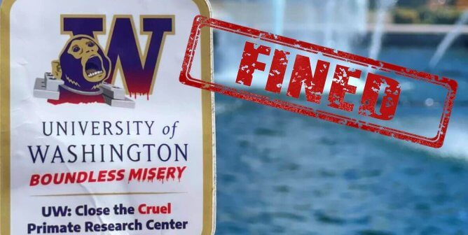 最新消息:华盛顿大学灵长类动物研究中心被关闭gydF4y2Ba