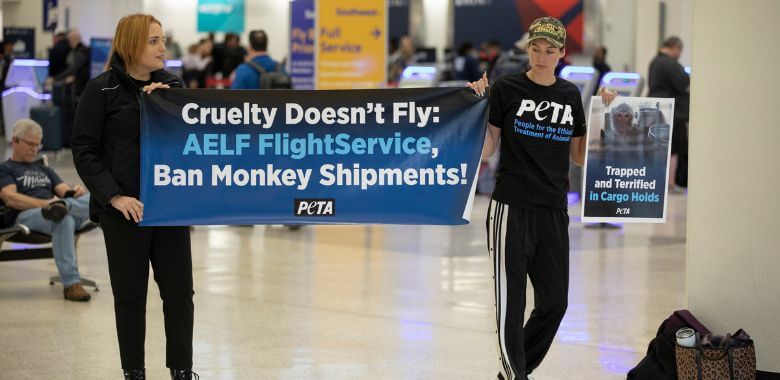 Can’t-Miss Banner Blasts Secretive Monkey Shipments Flown Into Houston