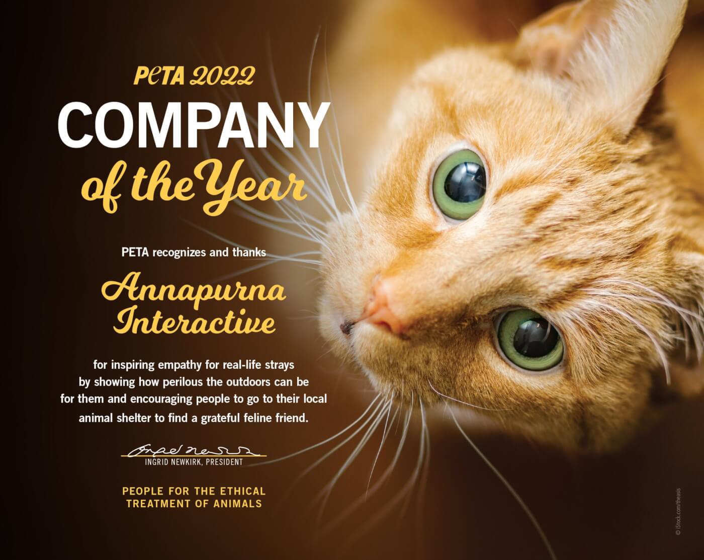 Annapurna Interactive Wins the Prize for 'Stray' | PETA