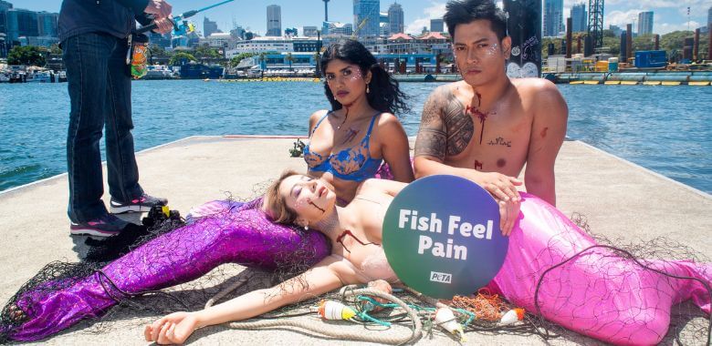 ‘Mermaids’ Make a Splash at Sydney Fish Market