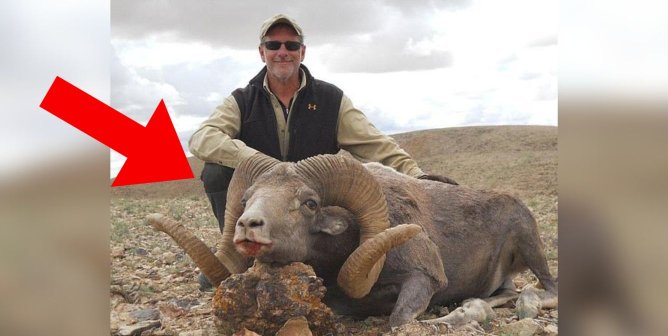 Trophy Hunter Who Posed With Dead Animal Later Killed Wife