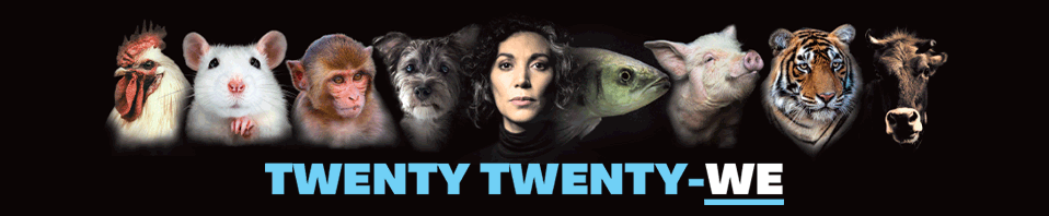 DON'T USE UNTIL 1/1/2022 desktop version of twenty twenty-we banner showing a group of animals together