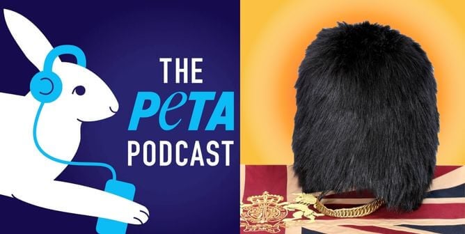Go Behind the Scenes at PETA With Our New Podcast