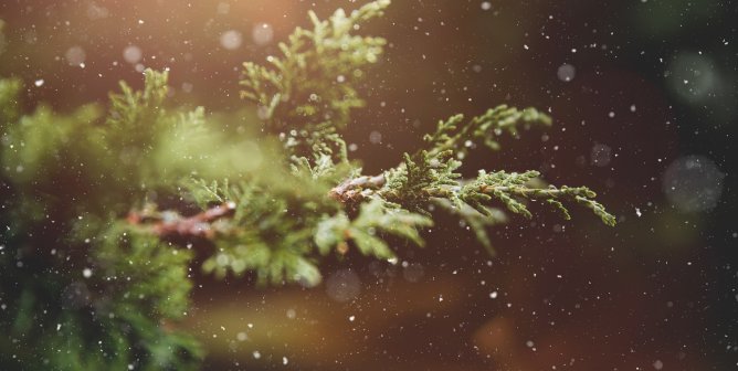 Welcome the Winter Solstice With a Vegan Yule Celebration