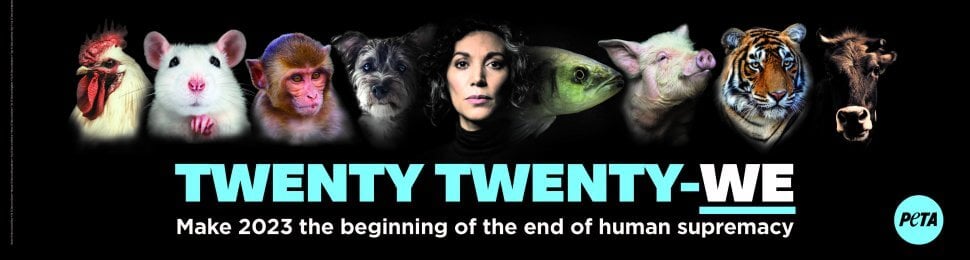 Twenty Twenty-We: Make 2023 The Beginning Of The End Of Human Supremacy