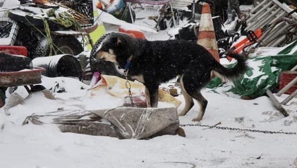 Update: Still No Charges Filed! Urge Cass County Prosecutor to Consider Charges in Infamous Hoarding Case