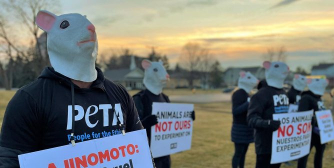 Ajinomoto group of PETA mascot mice