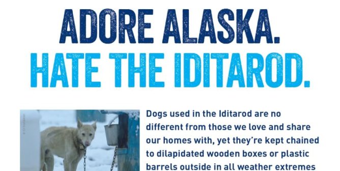 Adore Alaska. Hate The Iditarod.