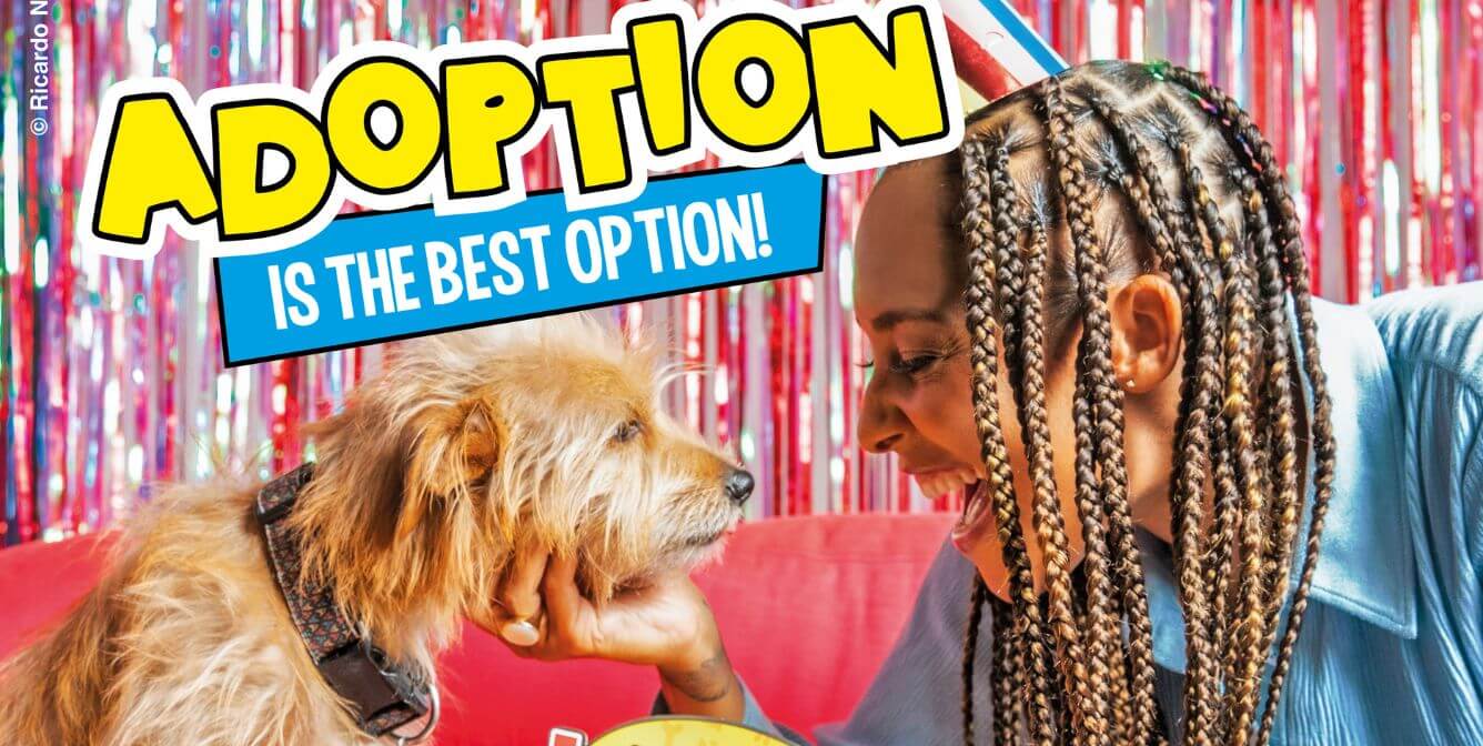 Amanda Seales adoption ad feature image Amanda Seales Stars in PETA Adoption Ad