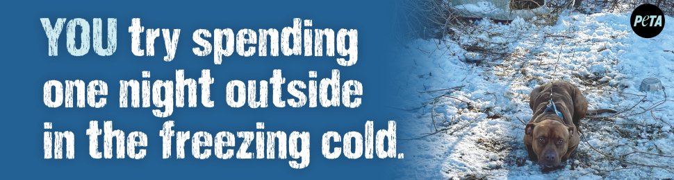 YOU Try Spending One Night Outside In The Freezing Cold