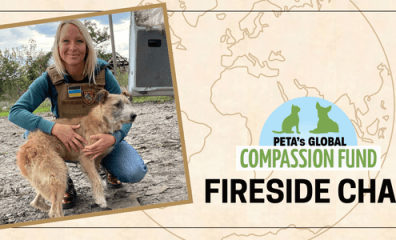 Join Us on the Front Lines in Ukraine as Rescuers Risk Everything to Save Animals