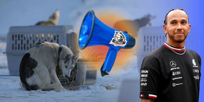 Lewis Hamilton with megaphone and dog in the cold on the left.