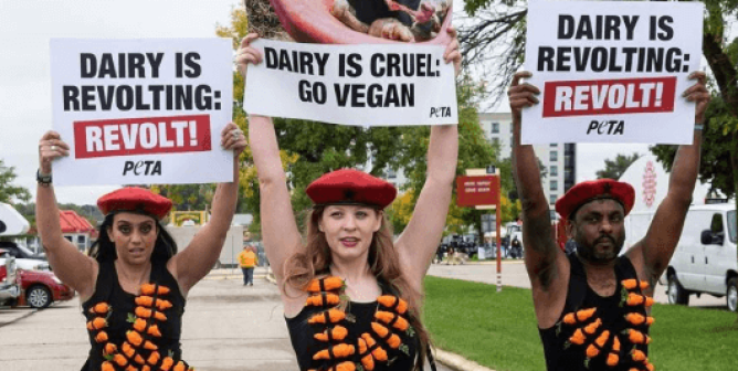 Be at the Forefront of PETA’s Cutting-Edge Campaigns