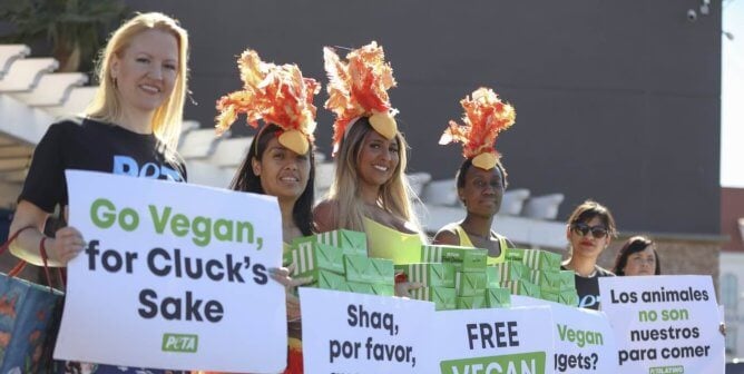 Lone of protesters for people to eat vegan chicken