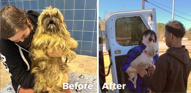 Bar Is on Cloud Nine After a Haircut From PETA