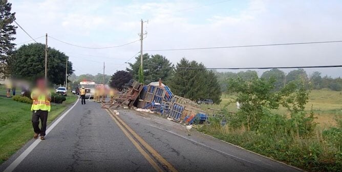 PETA Urges Shenandoah Valley Organic to Take Action Following Truck Crash That Killed and Maimed Chickens