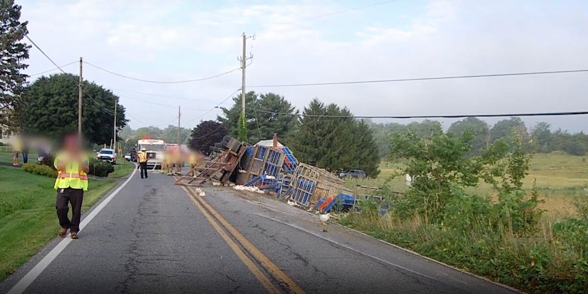 truck crash thumb Chickens Killed in Slaughterhouse-Bound Truck Crash