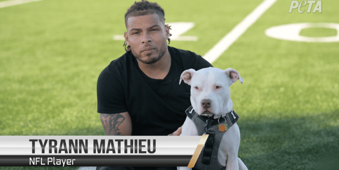 Tyrann Mathieu Is Breaking Chains With His Latest PETA PSA