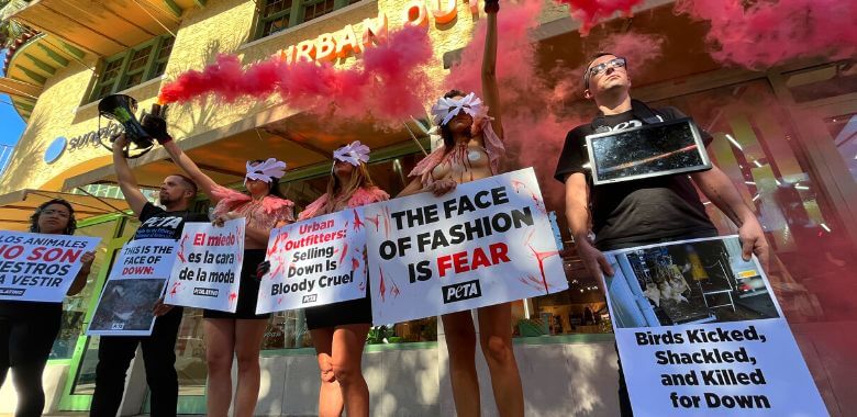 PETA Ruffles Urban Outfitters’ Feathers Over Down Industry Exposé