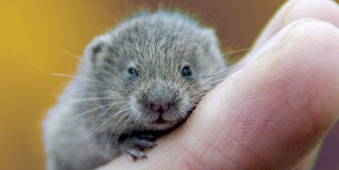In Vitro Methods and More Animal Testing Alternatives | PETA In Vitro Methods and More Animal Testing Alternatives | PETA