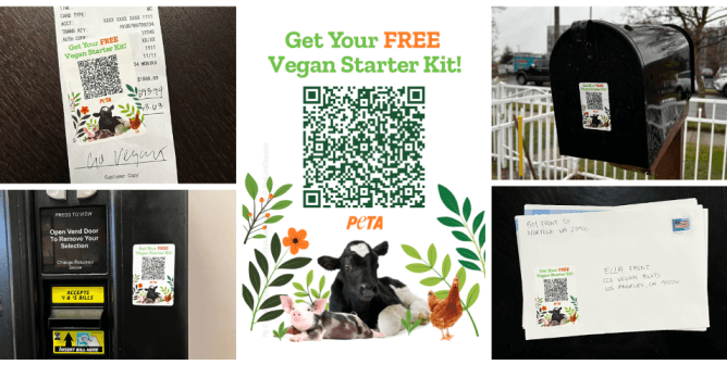A sticker with a QR code reads: "Get your FREE vegan starter kit!" and features images of a pig, cow, and chicken.
