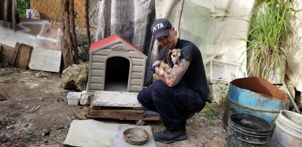 This is Duke after fieldworkers improved his living conditions with a sturdy dog house and light-weight tie