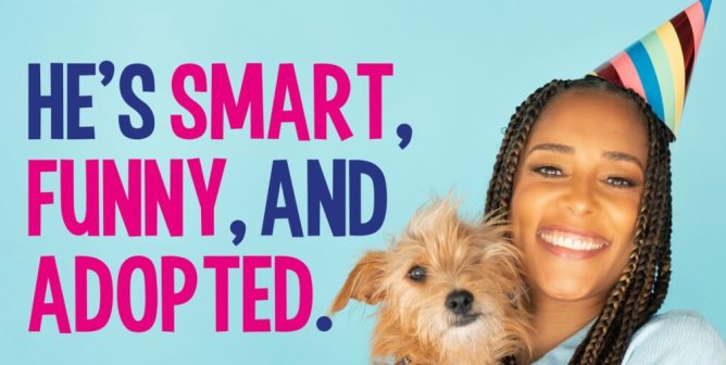Amanda Seales: He’s Smart Funny And Adopted. Celebrate Mutts: Adopt. Don’t Buy.