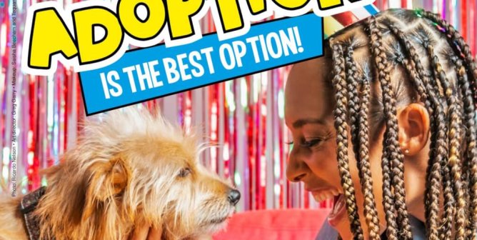 Amanda Seales: Adoption Is The Best Option. Celebrate Mutts: Adopt. Don’t Buy.
