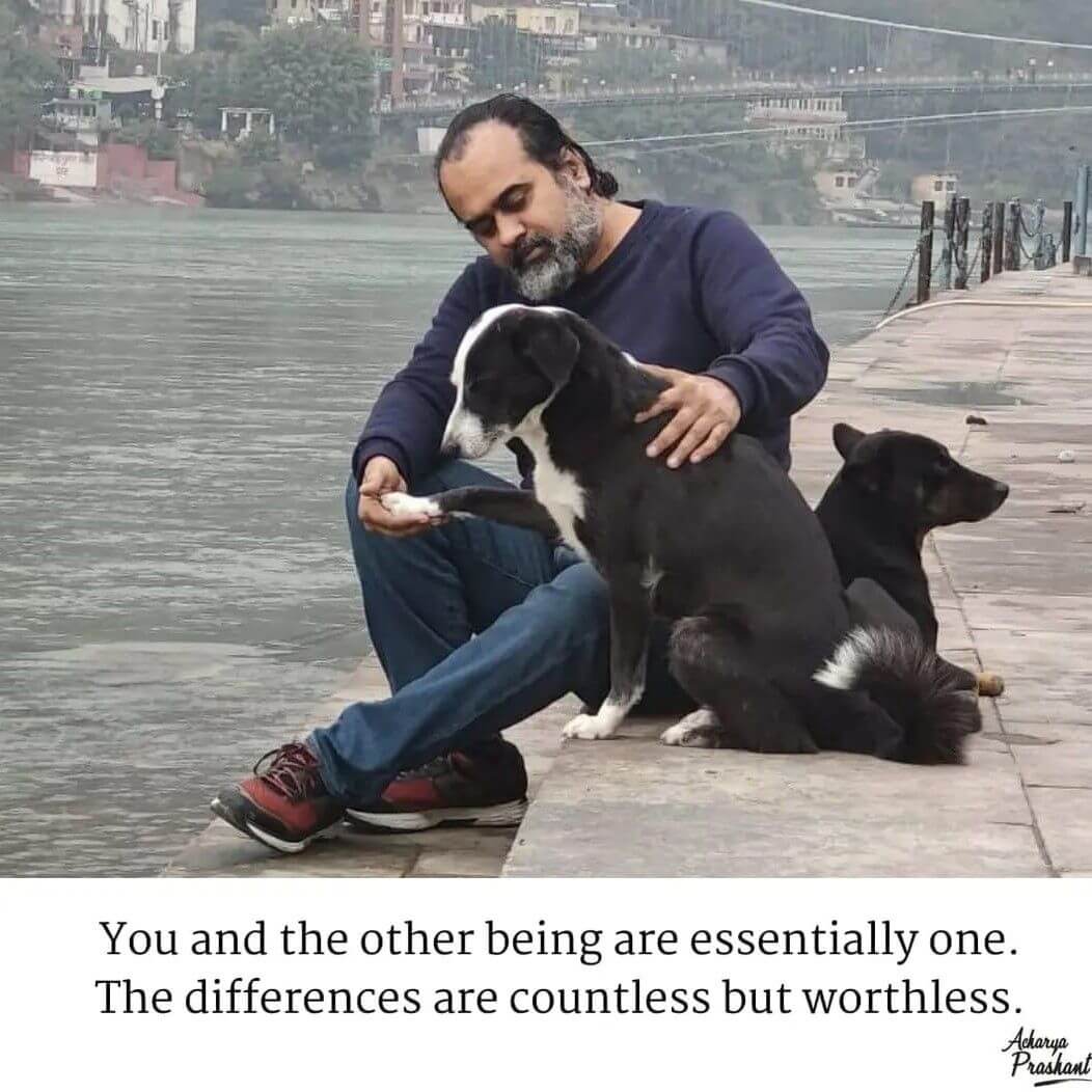 PETA India's Most Influential Vegan Acharya Prashant sitting with two dogs by the water and holding the uplifted front right paw of one of them, with a quote by Prashant included: "You and the other being are essentially one. The Differences are countless but worthless. -Acharya Prashant"