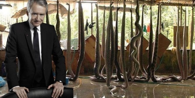 Louis Vuitton CEO Bernard Arnault in front of hanging snakes that will be killed for their skins