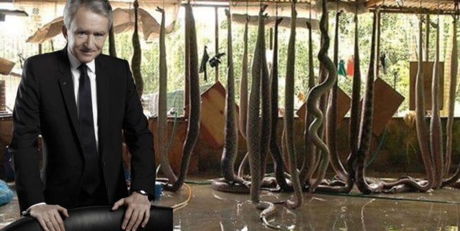 How Has Cruelty to Animals Funded the World’s Wealthiest Person? PETA Spills the Dirt