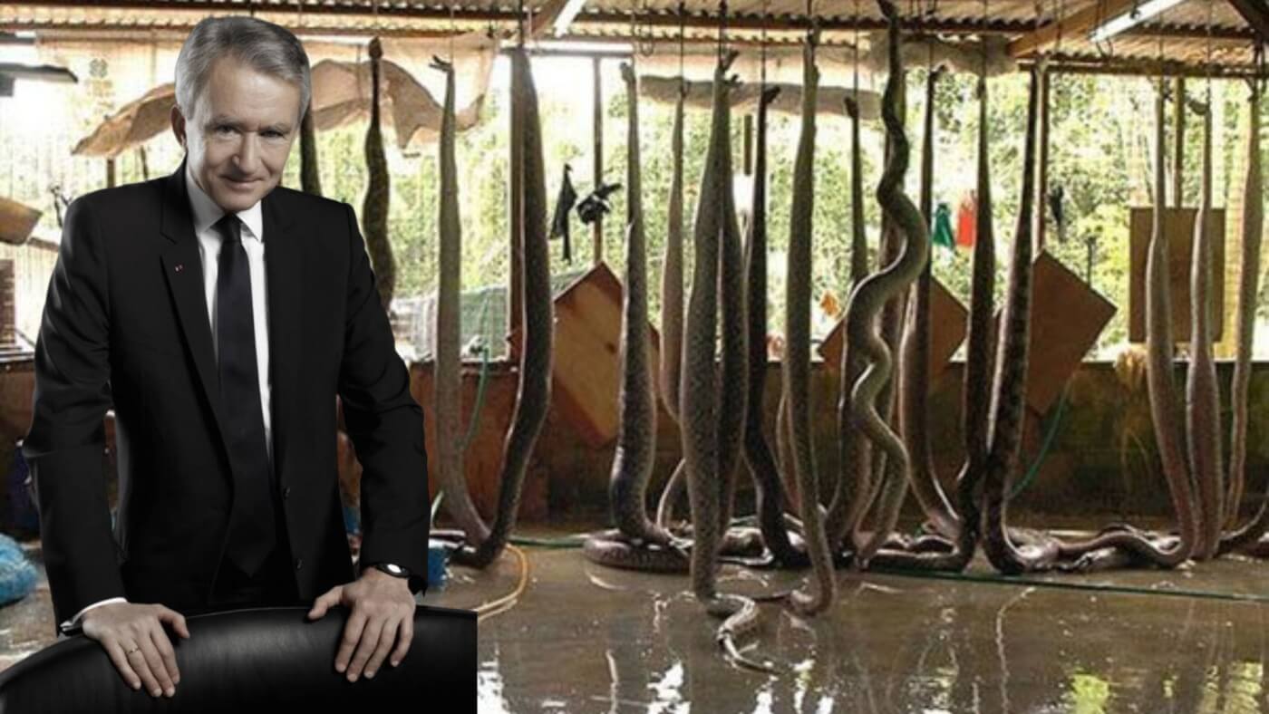Bernard Arnault cut out with hanging snakes Why Louis Vuitton’s CEO Is the World’s Wealthiest Person