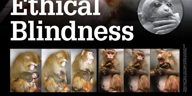 Ethical Blindness: Harvard Shut Down This Lab (Britches)